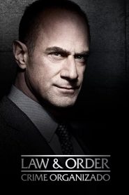 Law & Order: Crime Organizado